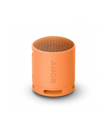 Sony XB100 Pomarańczowy nr 1