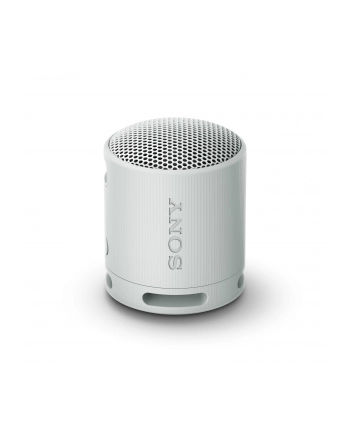 Sony XB100 Szary nr 1