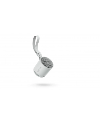 Sony XB100 Szary nr 2