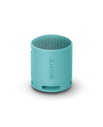 Sony XB100 Niebieski nr 1