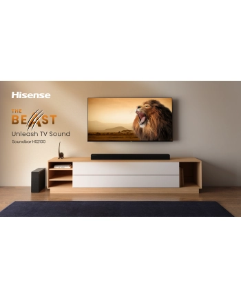 Hisense HS2100 nr 1