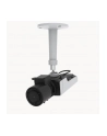 Axis Netzwerkkamera Box-Typ Mini M1137 Mkii 5Mp - Network Camera (2484001) - nr 19