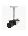 Axis Netzwerkkamera Box-Typ Mini M1137 Mkii 5Mp - Network Camera (2484001) - nr 6