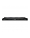 Organizer kabli QOLTEC do szaf RACK 19'' | 24 porty | 1U - nr 1