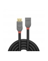 LINDY PRZEDŁUŻACZ KABLA DISPLAYPORT  36498  3.00 M  (ANTHRALINE) - nr 2