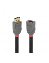 LINDY PRZEDŁUŻACZ KABLA DISPLAYPORT  36498  3.00 M  (ANTHRALINE) - nr 6
