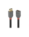 LINDY PRZEDŁUŻACZ KABLA DISPLAYPORT  36498  3.00 M  (ANTHRALINE) - nr 7