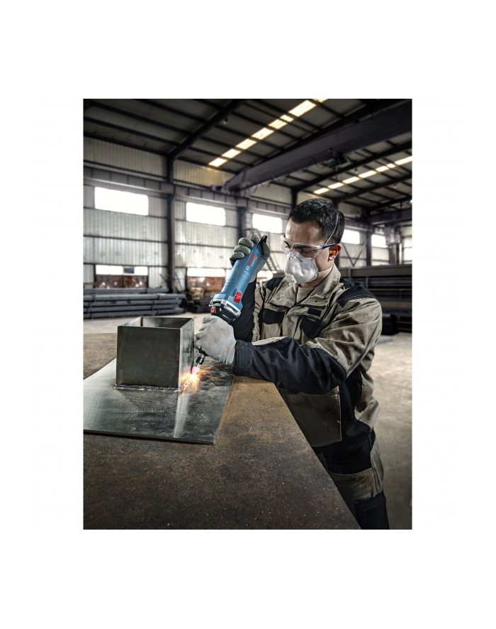 Bosch GGS 30 LS Professional 06012B5020 główny