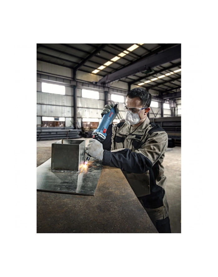 Bosch GGS 30 LS Professional 06012B5020 główny