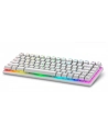 dell Klawiatura bezprzewodowa Alienware Pro US QWERTY Lunar Light - nr 1
