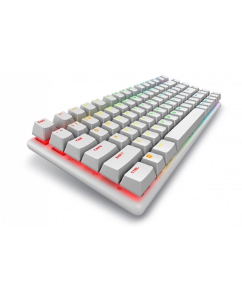 dell Klawiatura bezprzewodowa Alienware Pro US QWERTY Lunar Light