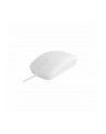 CHERRY Mouse AK-PMH3 Medical 3-Button Scroll corded sealed Kolor: BIAŁY IP68 kabelgebunden, 3-Button-Scroll-Steuerung, IP68 - nr 5