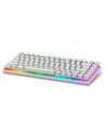 dell Klawiatura bezprzewodowa Alienware Pro US QWERTY Lunar Light - nr 1