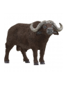 Schleich 14872 Bawół afrykański Wild life - nr 2