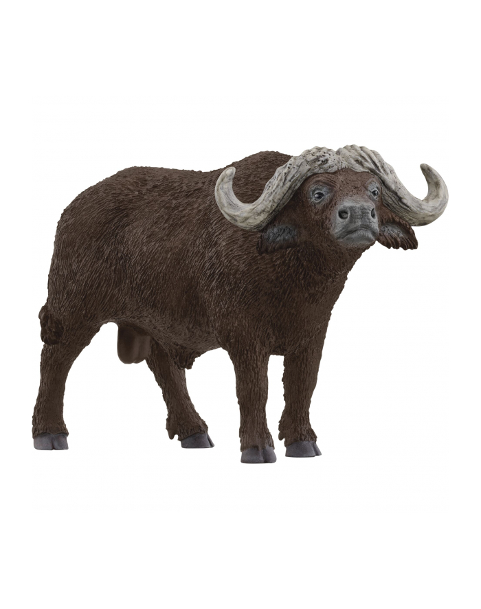 Schleich 14872 Bawół afrykański Wild life główny