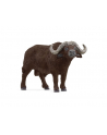 Schleich 14872 Bawół afrykański Wild life - nr 4