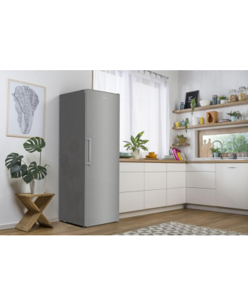 gorenje Chłodziarka R619EES5