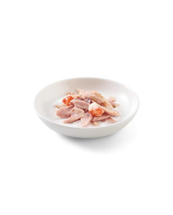 agras pet foods SCHESIR dla kotów Adult w Galarecie Tuńczyk z Surimi 85g