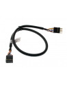 KABEL USB internal extension 40cm - nr 16