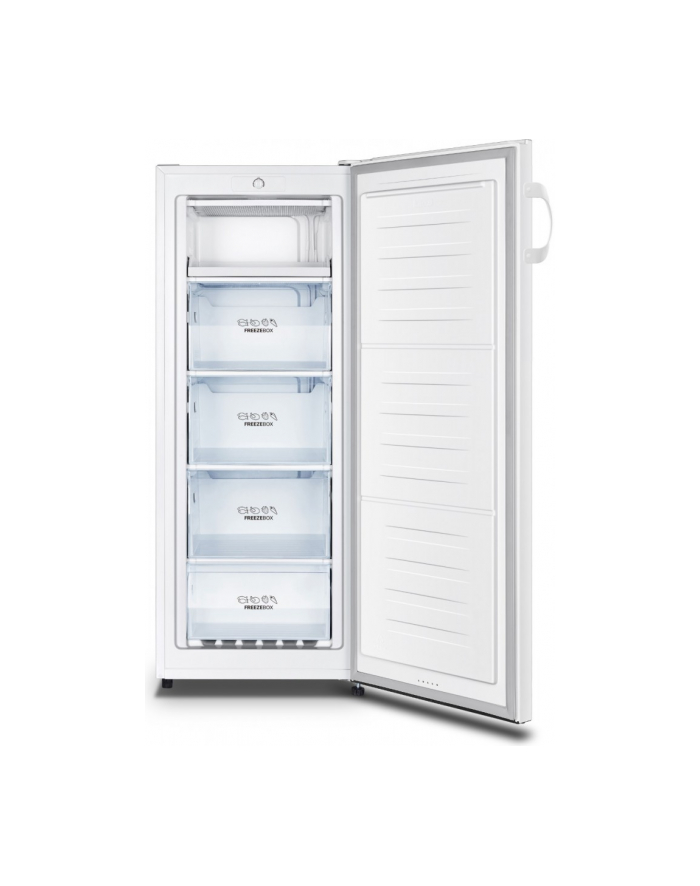 gorenje Zamrażarka F4142PW główny