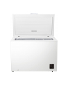 gorenje Zamrażarka FH30EAW - nr 2