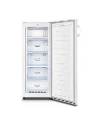 gorenje Zamrażarka F4142PW nr 1