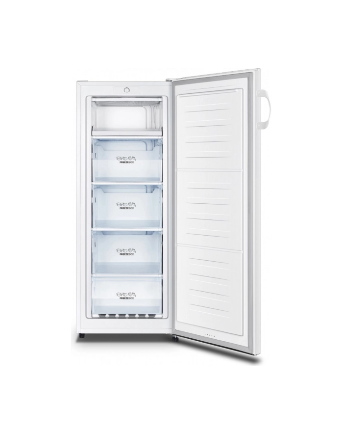 gorenje Zamrażarka F4142PW główny