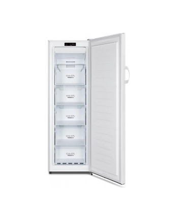 gorenje Zamrażarka FN4172CW nr 2