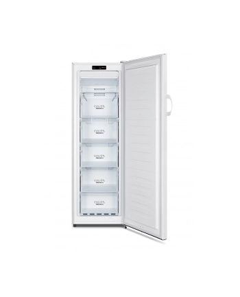 gorenje Zamrażarka FN4172CW nr 1
