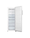 gorenje Zamrażarka FN617EEW5 - nr 5