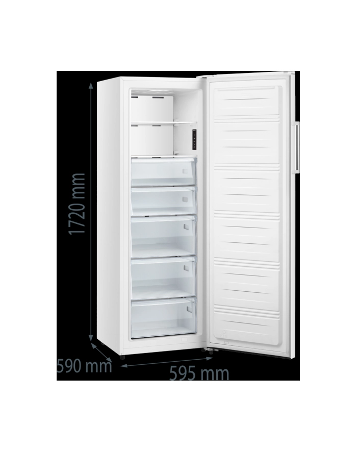 gorenje Zamrażarka FN617EEW5 główny