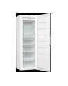 gorenje Zamrażarka FN619EEW5 - nr 17