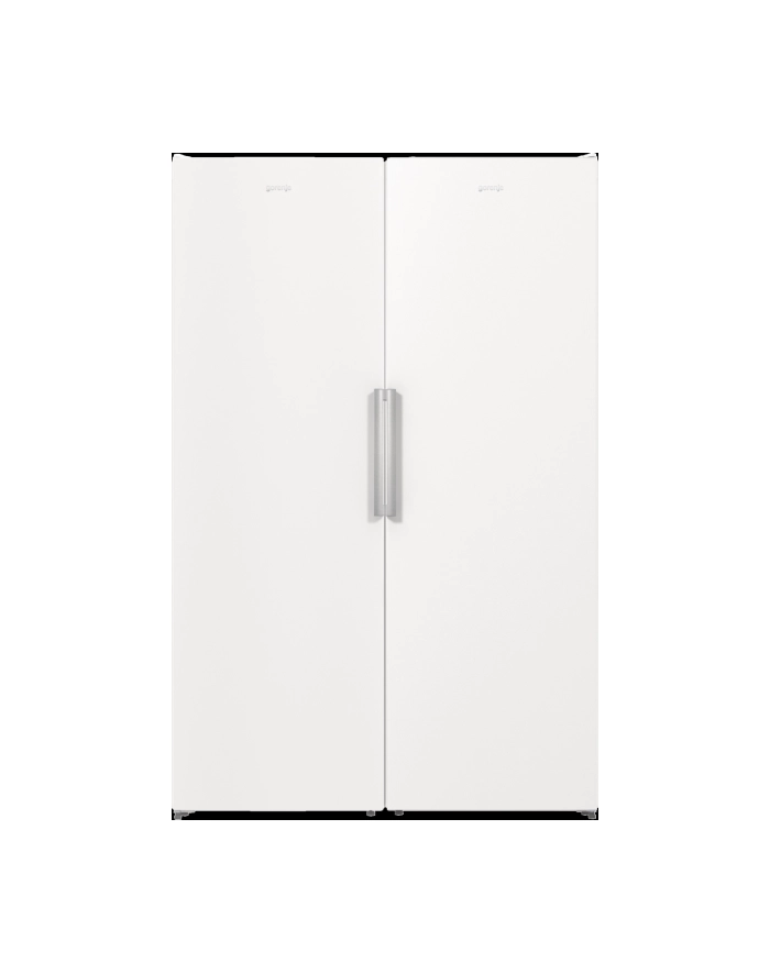 gorenje Zamrażarka FN619EEW5 główny