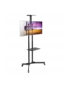 techly Stojak mobilny do TV 37-70cali, 50kg, 2 półki - nr 16