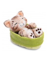 NICI 49747 Maskotka kot bengalski 12cm śpiący w koszyku, zielony GREEN - nr 1