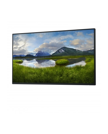 dell technologies D-ELL P2725H 27inch 68.6cm WOST nr 1