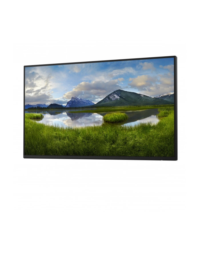 dell technologies D-ELL P2425H 23.8inch 60.5cm WOST główny