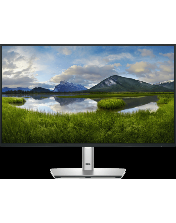 dell technologies D-ELL P2425H 23.8inch 60.5cm główny