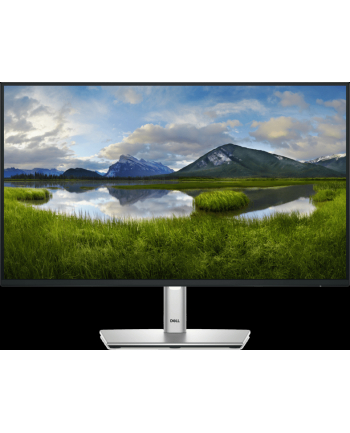 dell technologies D-ELL P2425H 23.8inch 60.5cm