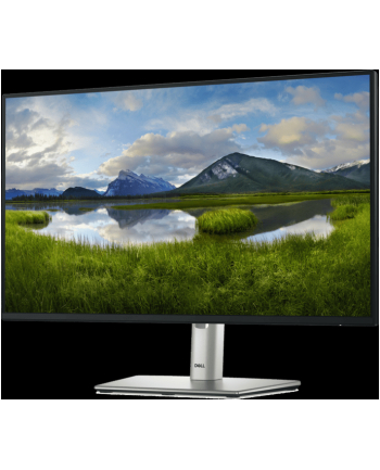 dell technologies D-ELL P2425H 23.8inch 60.5cm