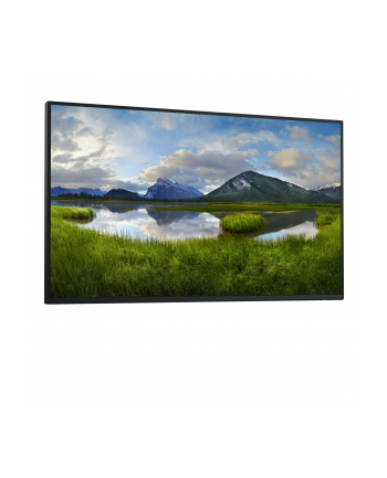 dell technologies D-ELL P2725H 27inch 68.6cm WOST nr 2