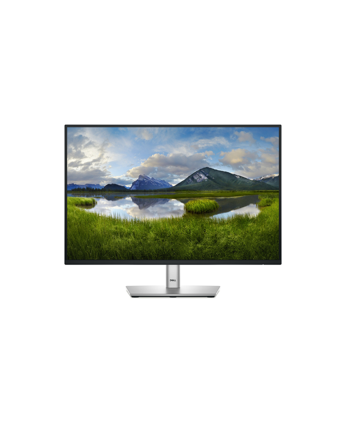 dell technologies D-ELL P2425 24inch 61cm główny