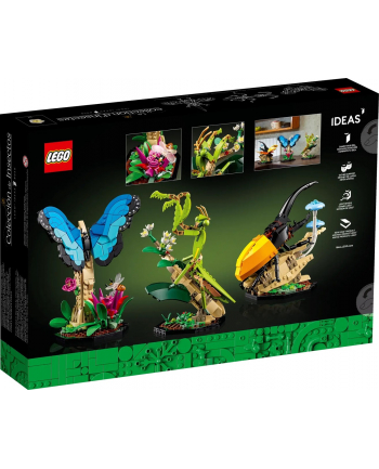 LEGO Ideas 21342 Kolekcja owadów