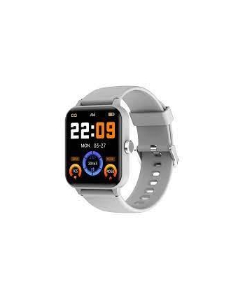 no name SMARTWATCH R30/GRAY BLACKVIEW