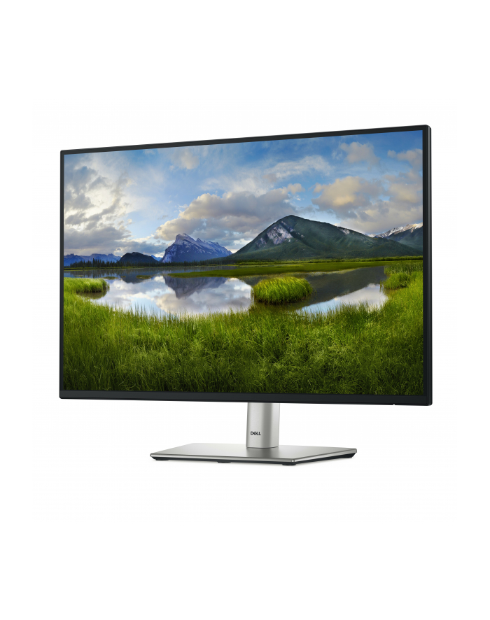 dell Monitor P2425 24 cale IPS 16:10 WUXGA/HDMI/USBC/DP/VGA/USB/3Y główny