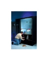 APC Start-Up Service 5X8 for NetworkAIR CW 28-87 kW - nr 3