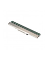 BROTHER Printhead 203 DPI for TJ-40xx Dealer Option - nr 4