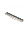 BROTHER Printhead 300 DPI for TJ-41xx Dealer Option - nr 7