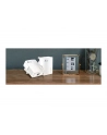 tp-link AV1000 POWERLINE STARTER KIT/ - nr 8