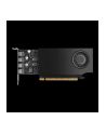 pny technologies PNY NVIDIA A1000 8GB GDDR6 128-bit, Low Profile, PCIe 40 x8, Single slot, 4 x Mini DisplayPort 14a, 50W, LP bracket, small box - nr 19
